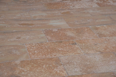 &Delta;&alpha;&pi;&epsilon;&delta;&omicron; &pi;&omicron;&rho;&omicron;&lambda;&iota;&theta;&omicron;&sigmaf; &Chi;&alpha;&lambda;&kappa;&iota;&delta;&iota;&kappa;&eta;&sigmaf;